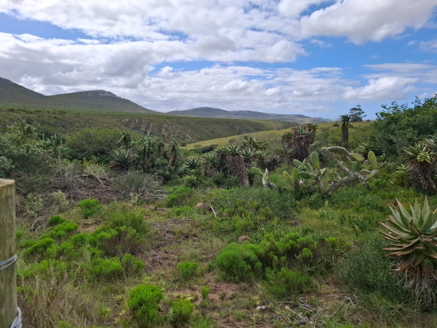 4 Bedroom Property for Sale in Albertinia Western Cape